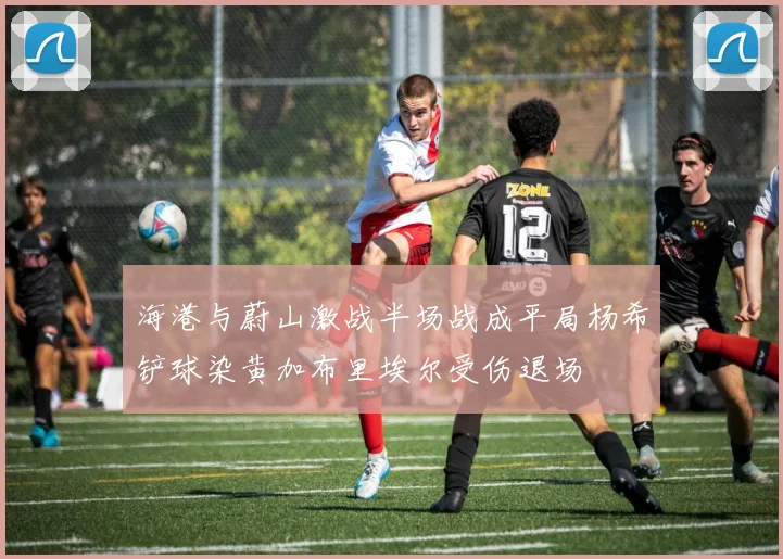 海港与蔚山激战半场战成平局杨希铲球染黄加布里埃尔受伤退场