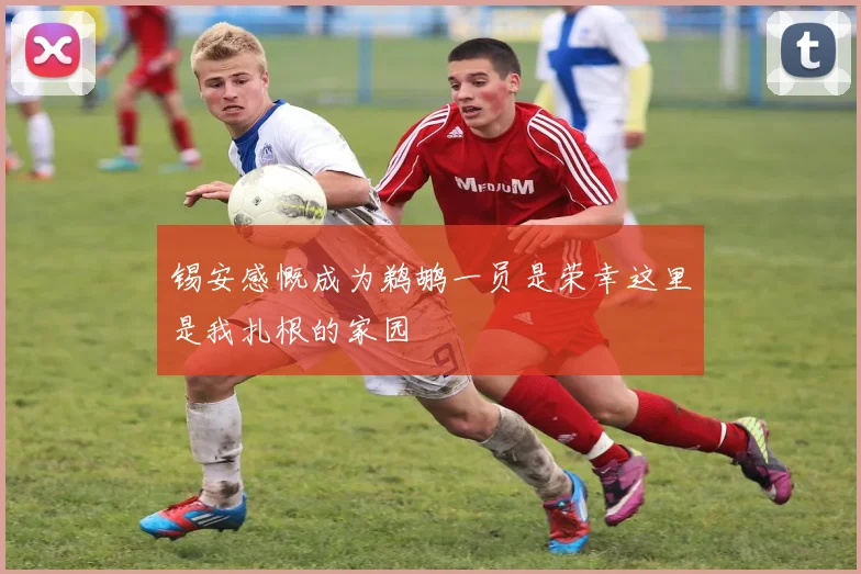 锡安感慨成为鹈鹕一员是荣幸这里是我扎根的家园