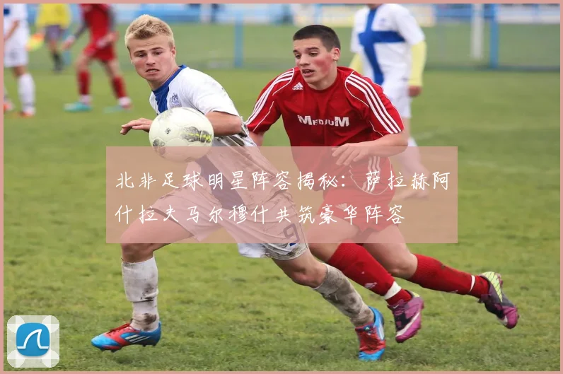 北非足球明星阵容揭秘：萨拉赫阿什拉夫马尔穆什共筑豪华阵容